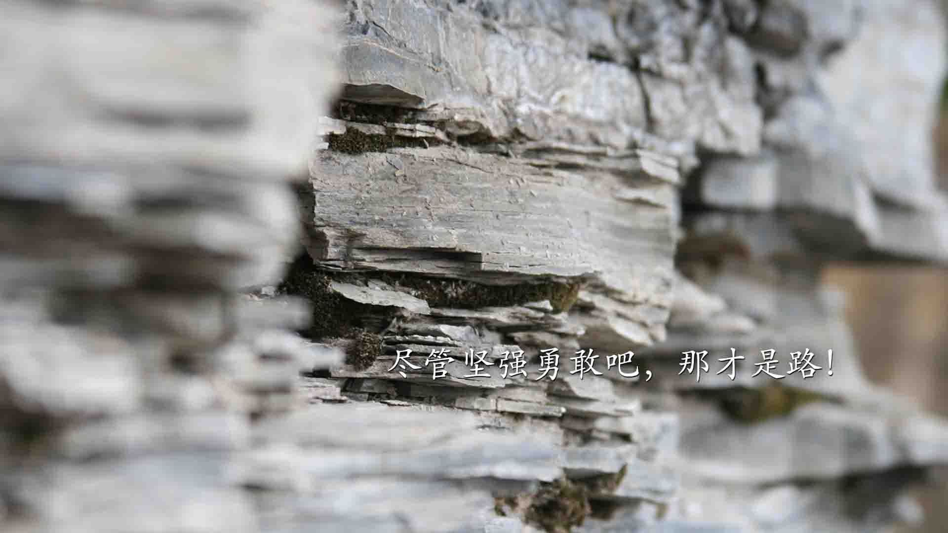 2026世界杯E组生死局,智利风暴横扫中亚狼,C罗绝境擎旗定乾坤